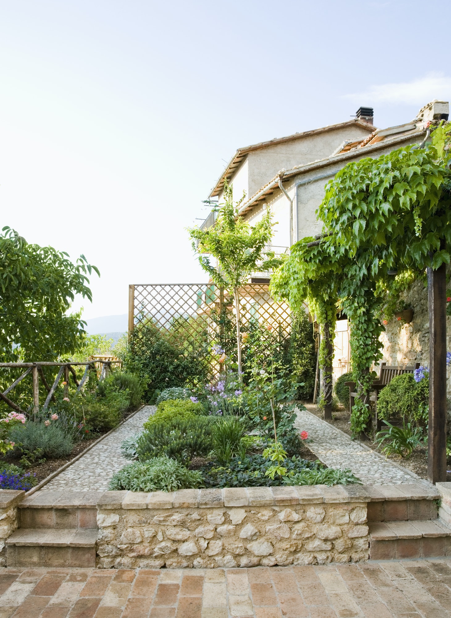 Backyard Garden