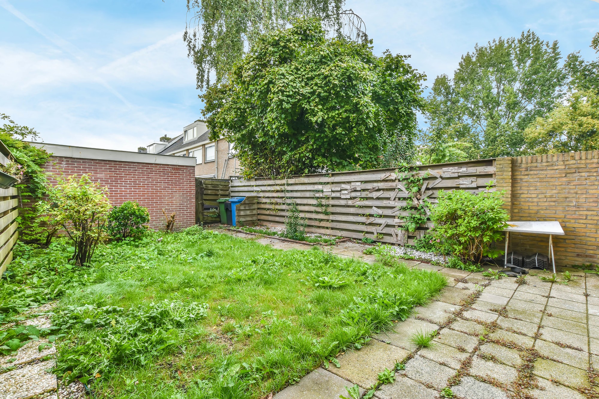 Backyard with fresh landscape