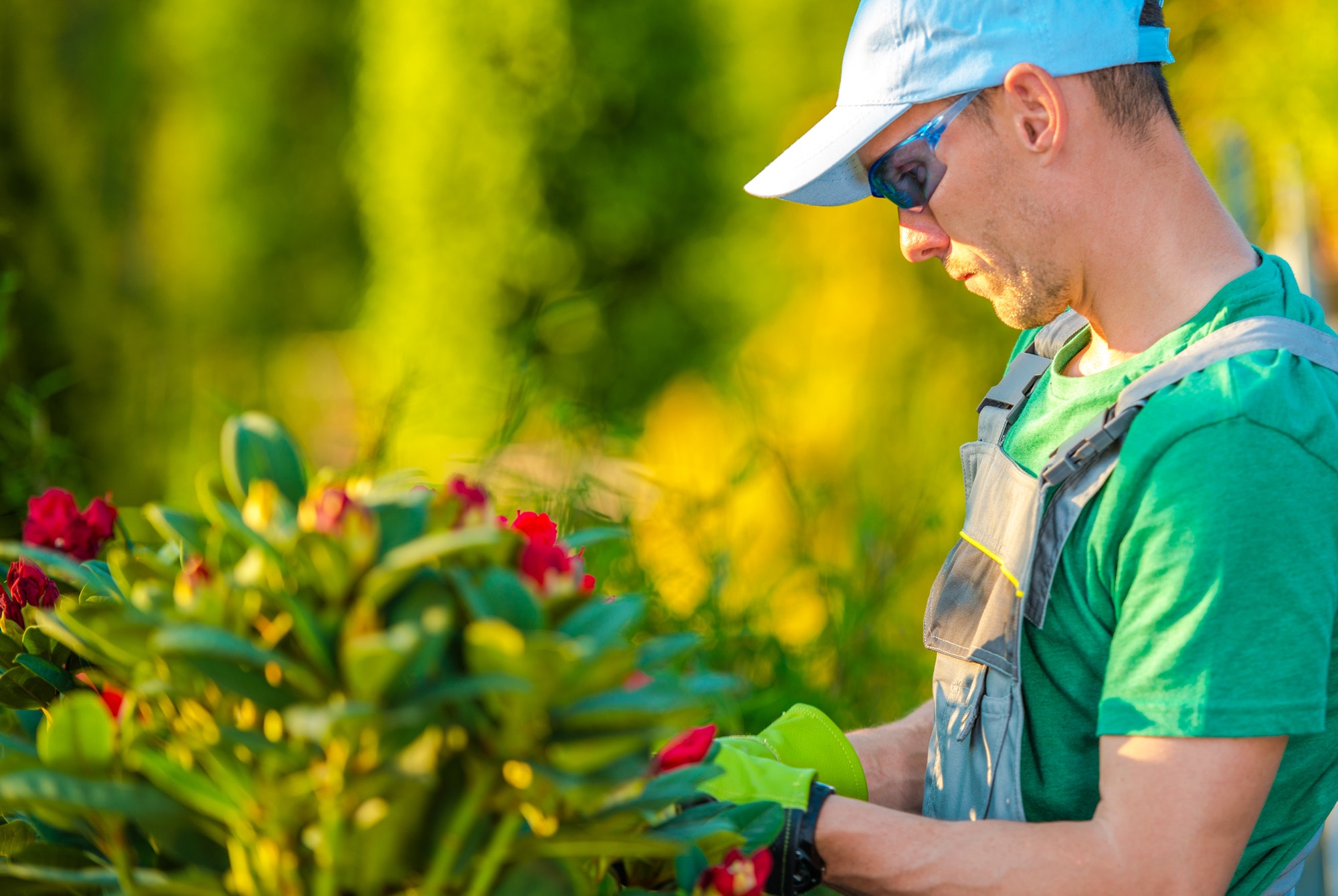 Spring Garden Maintenance