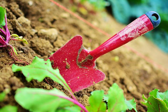 10 manieren om geld te besparen op tuinartikelen
