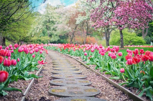 Tuinmateriaal kopen in België: De ultieme gids