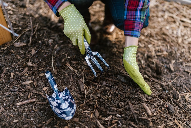 Tuingereedschap kopen en Loungeset Outlet: Tips voor het inrichten van uw tuin