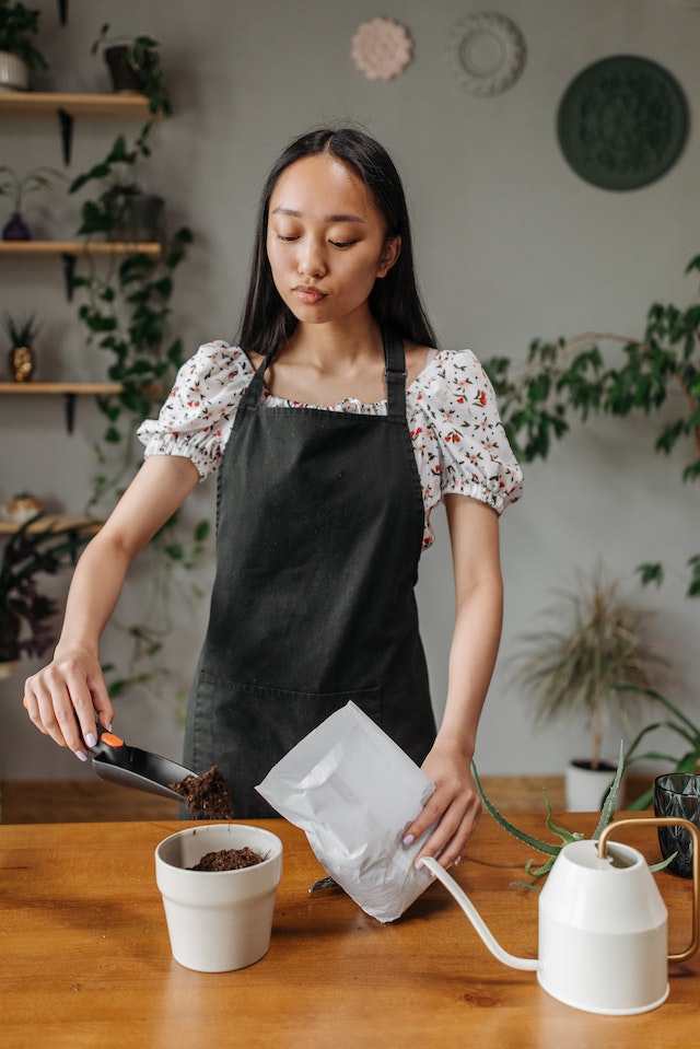 Garden Connect: Innovatieve Marketingstrategieën voor Tuincentra