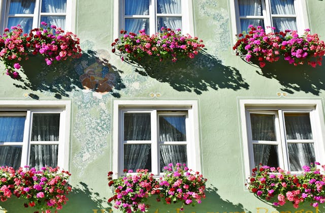 Windscherm Uittrekbaar & Bloempotten Buiten: Praktisch Comfort en Sfeervolle Tuininrichting