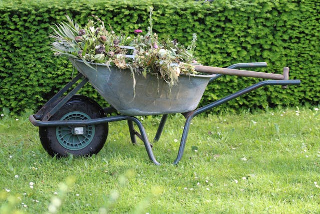 Tuincentrum en Van Cranenbroek: Alles voor Groen en Gezelligheid