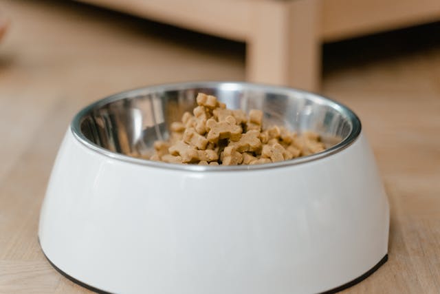 Pala hondenvoer en hond ontwormen: goede voeding en verzorging voor je hond